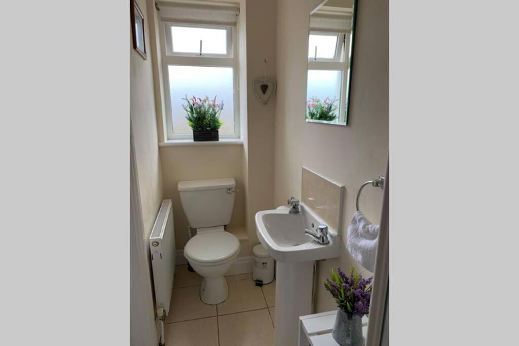 Two Bedroom Town House Beside The River Barrow Carlow Eksteriør bilde