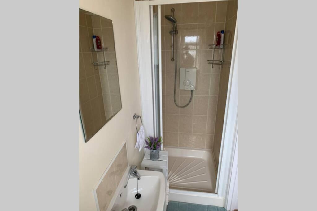 Two Bedroom Town House Beside The River Barrow Carlow Eksteriør bilde