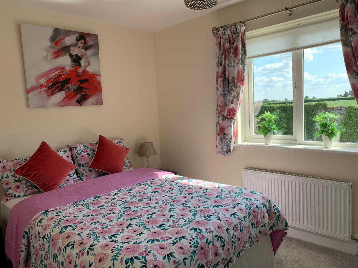 Two Bedroom Town House Beside The River Barrow Carlow Eksteriør bilde