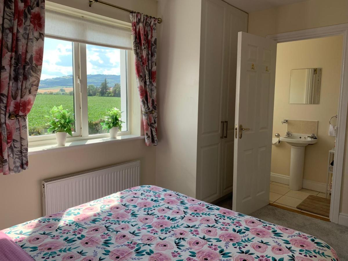 Two Bedroom Town House Beside The River Barrow Carlow Eksteriør bilde
